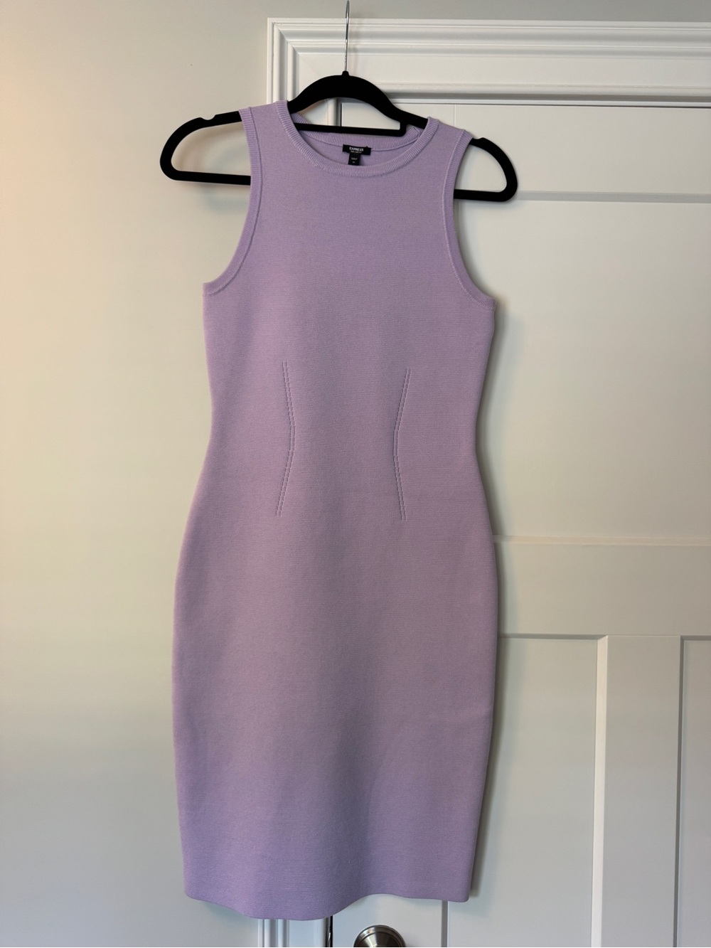 Express Lilac Sleeveless Knit Bodycon Dress